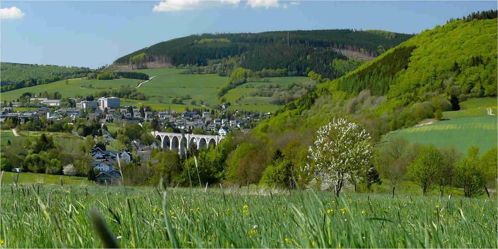 Hotel Wellnesshotel Buergerstuben Willingen (Upland)